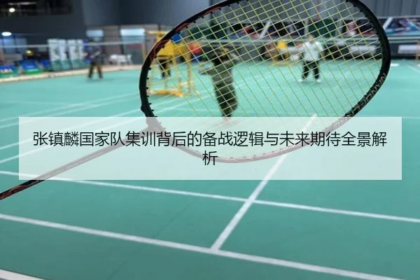 张镇麟国家队集训背后的备战逻辑与未来期待全景解析