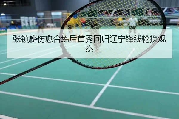 张镇麟伤愈合练后首秀回归辽宁锋线轮换观察
