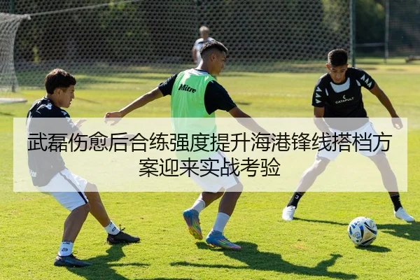 武磊伤愈后合练强度提升海港锋线搭档方案迎来实战考验