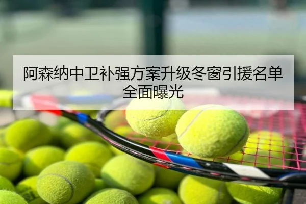 阿森纳中卫补强方案升级冬窗引援名单全面曝光